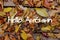 Autumn Leaves on Wooden Background. Hello Autumn Concept Wallpaper.