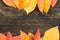 Autumn leaves on a wooden board 2