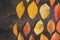 Autumn leaves on a wooden board 7