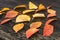 Autumn leaves on a wooden board 8