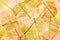 Autumn Leaves yellow and orange Background