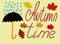 Autumn lettering - autumn time with fall symbols - vector