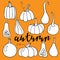Autumn lettering. Pumpkin various. Harvest season. Hand drawn vector set. Thanksgiving or Halloween holidays flat