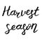 Autumn lettering, vector illustration. Black text isolated on white. Harvest season phrase. Fall nature season