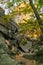 Autumn light at Purgatory Chasm