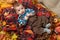 Autumn little boy lie on plaid blanket, yellow fall leaves, apples, pumpkin and decoration on textile