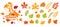 Autumn logo vector. The natural label. Autumn colorful bright leaves. Decorative set of isolated colorful autumn leaves.