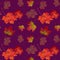 autumn maple leaves