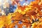 Autumn maple leaves against blue sky. Autumn background