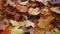Autumn maple leaves as background Group autumn colour leaves. Outdoor