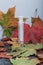 Autumn maple leaves on black pine boards. A medical syringe is inserted into them