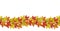 Autumn Maple Leaves Seamless Border on White Background.