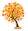 Autumn maple tree leaf fall. Vector illustr