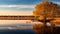 Autumn Marsh With Serene Lake And Vibrant Elm Trees