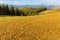 Autumn meadow in mountains