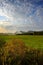 Autumn meadows in sunset vertical