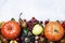 Autumn meal background with pumpkins, vegetables, fruits and nut