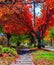 Autumn, middle of October in New Brunswick, Canada