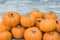 Autumn mini Pumpkin Thanksgiving Background. Festive, season