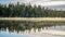 Autumn with mirrored pine forest and misty lake. Fog rises above the water at dawn. Finland