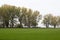 Autumn mist enveloped the green field of young wheat