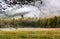 Autumn mist rises above the flock of Elk in Cataloochee, NC