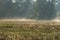 Autumn mists rising over the meadows in the morning.