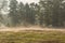 Autumn mists rising over the meadows in the morning.