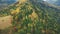 Autumn mixed forest on carpathian mountain slope