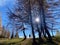 autumn in montain Trentino , trekking in the nature