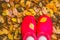 Autumn mood.adult wearing bright red rubber boots during a muddy hiking trip.Rainy autumn. Rubber pink boots against the