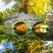 Autumn mood - ancient bridge in Ninfa park