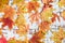 Autumn mood. Yellow, orange maple leaves on a wooden background. Lots of dry leaves and chestnuts. Natural materials