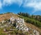 Autumn morning Carpathian Mountains calm picturesque scene, Ukraine