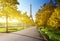 Autumn morning and Eiffel Tower, Paris