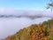 Autumn morning in a forest on the lookout above a river