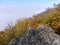 Autumn morning in a forest on the lookout above a river