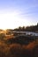 Autumn morning in Koiteli rapid, Kiiminki river. Rising sun, desiccated grass, bright sky.