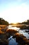 Autumn morning in Koiteli rapid, Kiiminki river. Rising sun, desiccated grass, bright sky, sunrays.