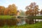 Autumn morning Peel Tower and the bridge in Pavlovsk Park