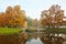 Autumn morning Peel Tower and the bridge in Pavlovsk Park