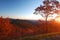 Autumn Morning, Shenandoah