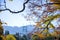 Autumn motifs in the cityscape with St Johns bridge