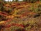 Autumn Mountain Colors