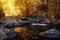 Autumn mountain colors of Old River Stara reka , located at Central Balkan national park in Bulgaria.