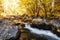 Autumn mountain colors of Old River Stara reka , located at Central Balkan national park in Bulgaria