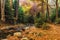 Autumn mountain colors of Old River  Stara reka  , located at Central Balkan national park in Bulgaria