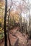 Autumn mountain forest with colorful trees, hiking trail, small rocks and fallen leaves
