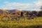 Autumn mountain landscape couple of bicycles on a meadow. Scenery of nature