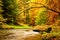 Autumn mountain river. Blurred waves,, fresh green mossy stones and boulders on river bank covered with colorful leaves from old t